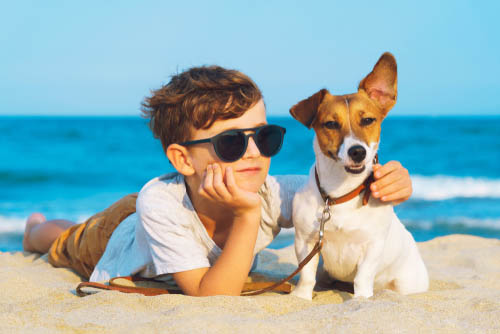 5 Fun Summer Activities for You and Your Dog